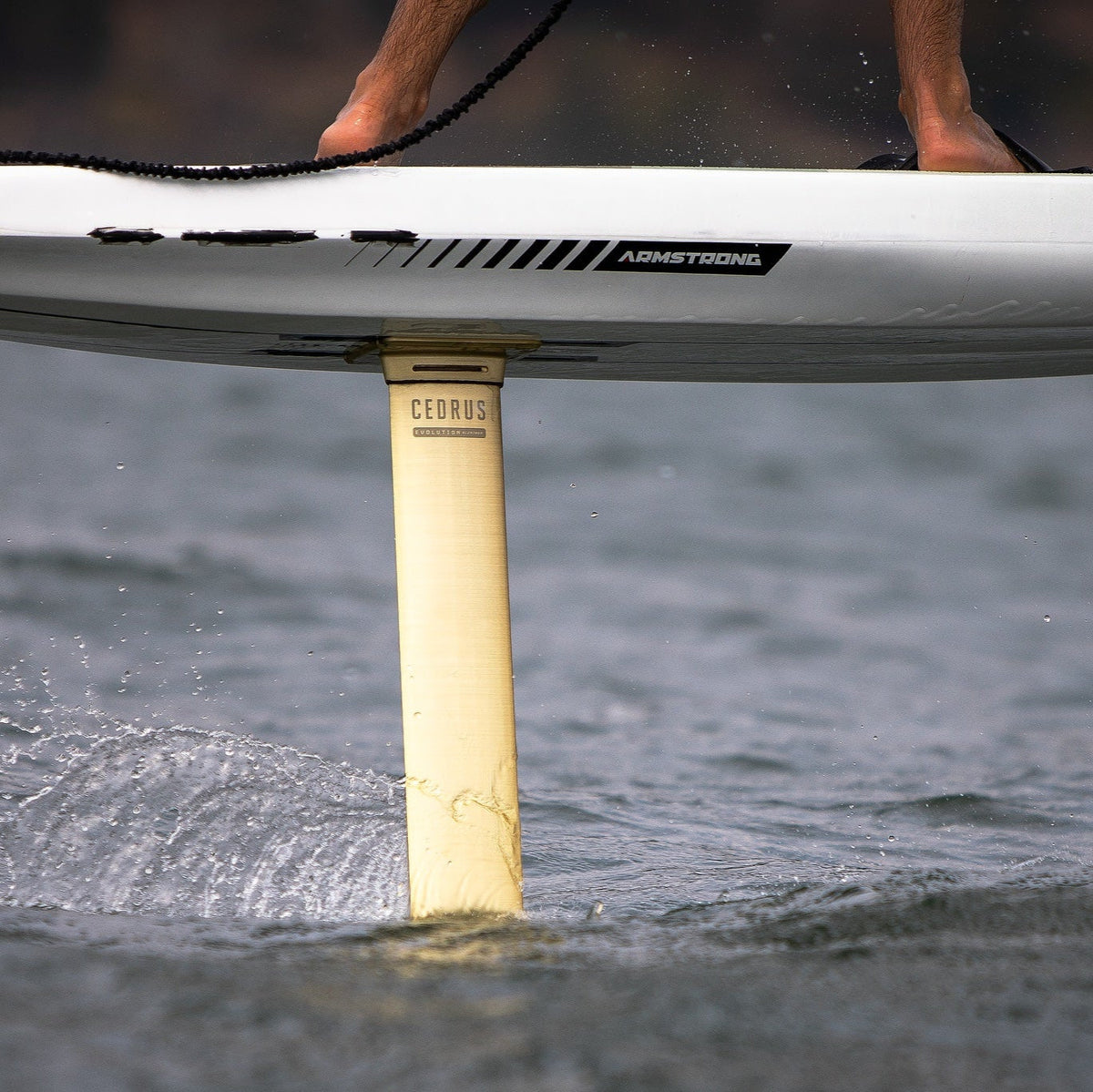 Evolution Aluminum Forged Mast